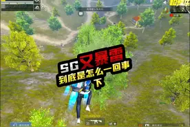 到底什么是群体在支持sg啊？？#sg俱乐部 #DSN俱乐部 #和平精英视频封面
