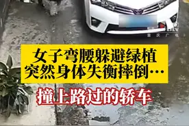 10月9日，广州，#女子弯腰躲避绿植撞上路过的轿车 ，知情者：交警和120都来了，事情暂时还在等交警处理。视频封面