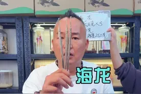 这个小朋友的最适合了 #海龙的好处 #海龙汤视频封面