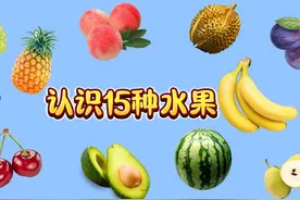 儿童益智玩具：认识15种水果 苹果 香蕉 西瓜 草莓 #认识水果