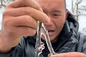 #四川凉山强降雪致农作物受影响 ，花椒树已冻成“冰棍，或许颗粒无收，种植户无奈：肥料钱都捡不回来#种植户视频封面