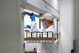 研究生都做不出来的霉菌竟然长到了普通人家里 #搞笑  #离谱视频封面