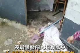 11月20日凌晨，四川北川，一头黑熊闯入村民家中将妻子扑倒撕咬，身高仅1.57米的58岁丈夫杀熊救妻。11月30日，北川县曲山镇政府工作人员表示，目前夫妻二人在医院进行进一步治疗。视频封面
