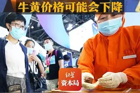 拟允许进口牛黄 同仁堂：若放开进口牛黄价格可能会下降#同仁堂回应拟允许进口牛黄 #港版安宫牛黄丸涨价 视频封面