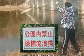 12月20日，有网友称山东淄博一学生将淄博植物园内一块“禁止诱捕流浪猫”的牌子扔进水中，该学生还称“流浪猫是外来入侵物种”。记者从涉事学生所在学校获悉，针对其将牌子扔进水里的行为已批评教育，但没有证据表明该学生有虐猫行为，针对网友提到的“虐猫事件” ，学校已报警。记者从贾庄派出所获悉，警方已介入调查。（新京报我们视频）视频封面