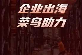 3D 打印机海外爆火背后，菜鸟海外仓如何“智”通全球？ #国产3D打印机硬控海外 #菜鸟全球供应链 #菜鸟海外仓视频封面
