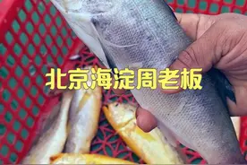 今天北京的周老板包8网，抓了一百多斤野生海鲜 #dou来广东百千万 #粤品月香 #出海捕鱼视频封面
