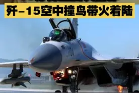 【10分钟上百次操作 歼-15空中撞鸟带火着陆！】海军飞行员驾驶歼-15战机训练，刚刚起飞就撞鸟起火。10分钟内，他完成上百次专业操作，最终安全降落。视频封面