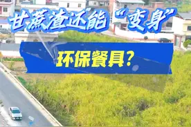 甘蔗渣还能“变身”环保餐具？#千万IP创科普视频封面