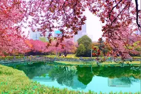 个人银行卡流水达到多少，就会被银行监管稽查视频封面