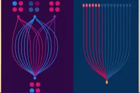 谷歌量子芯片Willow为什么这么强？量子计算又是什么 遇事不决，量子力学！#量子芯片 #Willow #量子力学 #量子计算 #抖音知识年终大赏视频封面