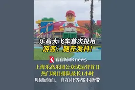 上海乐高乐园公众试运营首日 热门项目排队最长1小时 #乐高 #上海乐高乐园#排队#过山车