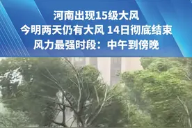 河南出现15级大风，今明两天仍有大风 14日彻底结束，风力最强时段：中午到傍晚#大风   #河南dou知道  #天气