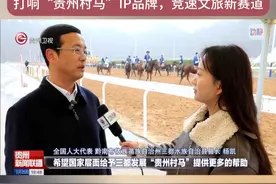 全国人大代表杨凯：打响“贵州村马”IP品牌，竞速文旅新赛道 #贵州村马  #媒体看三都  #我来宣传三都视频封面