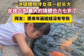 4月11日（采访时间），江苏南通，一池锦鲤陪伴女孩一起长大，女孩六岁 最大的锦鲤也六七岁了，网友：原来年画娃娃没有夸张。视频封面
