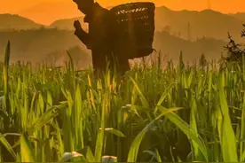 全球最肥沃的4块土地，分别在哪些国家？我国有没有一席之地？ #创造力计划视频封面