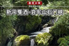 不到石门峡，枉到哀牢山！ 哀牢山腹地保留着原始蛮荒之风的石门峡。#最美云南 #旅行推荐官 #哀牢山 #石门峡