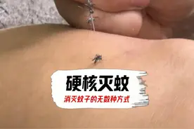 人类报复蚊子的方式能有多离谱 #万万没想到  #搞笑  #离谱视频封面