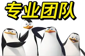 马达加斯加的企鹅有多强？？视频封面