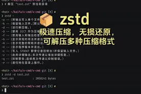 📦 zstd: 极速压缩，无损还原，可解压多种压缩格式 📦 zstd