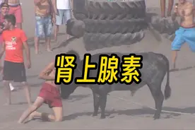 肾上腺素到底有多强？ #肾上腺素 #肾上腺素飙升视频封面