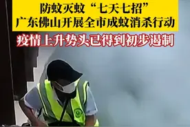 “七天七招”佛山人为灭蚊也是拼了！广东佛山开展全市成蚊消杀重点攻坚行动。7月29日-8月2日，佛山顺德日新增报告基孔肯雅热确诊病例连续5天下降，疫情快速上升势头已得到初步遏制。#第1眼TV口说有屏