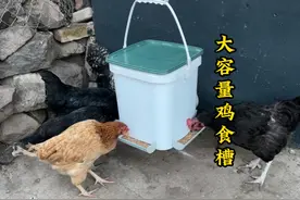 怎么制作鸡食槽,小伙为了减轻母亲负担制作了一个大容量鸡食槽视频封面