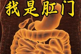 主人你好，我是肛门，请待我好点，不然后果不堪设想 #知识科普视频封面