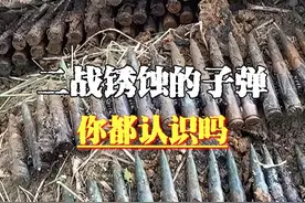 这些二战遗址中的生锈子弹，你都认识吗#军事科技 #二战视频封面