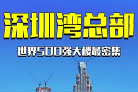 这就是未来世界500强总部大楼最密集的深圳湾超级总部基地 #深圳湾超级总部基地 #航拍视频封面