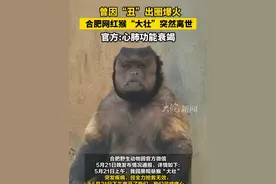 #曾因“丑”出圈爆火 合肥网红猴“大壮”突然离世 官方:心肺功能衰竭 #方脸猴大壮 
合肥野生动物园官方微信5月21日晚发布情况通报，详情如下:5月21日上午，我园黑帽悬猴“大壮”突发疾病，经全力抢救无效，于5月21日下午离开了我们，我们深感痛心。
经国内多方兽医专家来园会诊，初步诊断死亡原因为心肺功能衰竭。感谢大家对“大壮”的关注与爱护。视频封面