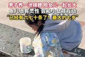 年画娃娃好像走进了现实！#男子养一池锦鲤陪女儿一起长大视频封面