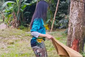 看完榴莲的采摘过程，终于知道榴莲为什么这么贵了 #榴莲 #榴莲采摘 #涨知识 #人文星闪耀计划视频封面