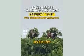 4月22日，于正发第三视角视频拍到隐藏在片场外围的代拍大军：你们是植物大战僵尸的豌豆射手吗？#于正 #代拍 #玉茗茶骨视频封面