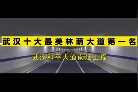 武汉十大最美林荫大道第一名---武汉和平大道南延工程#bim视频封面