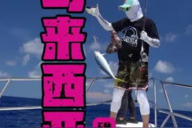 马来西亚和南沙群岛哪个资源更好一目了然，最后数钱时心情还是不错的#原来钓鱼才是抖音运动顶流 #2024dou来钓鱼 #逐鰤 #dou是钓鱼人 @DOU+小助手 @大小猫杂货铺