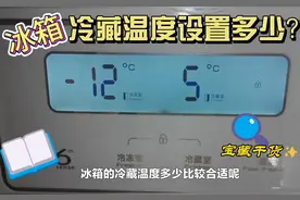 冰箱冷藏室设置多少温度合适？我家一直是5℃用的挺好#实用分享视频封面