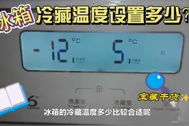 冰箱冷藏室设置多少温度合适？我家一直是5℃用的挺好#实用分享视频封面