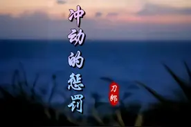 歌曲《冲动的惩罚》演唱 刀郎 #音乐mv #一代人的回忆视频封面