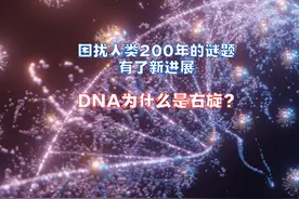 为什么生物的DNA几乎都是右旋？
