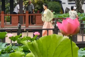 #望丛祠 的#荷花 开了！预告：6月20日，#望丛赛歌会 将在这里举行！