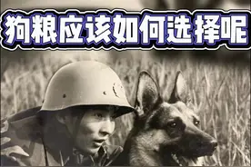 应该如何选择好的狗粮呢？选择好的狗粮需要注意什么呢？ #狗狗 #狗粮 #狗粮日常 #狗狗健康饮食 #狗狗的心思都写在脸上了