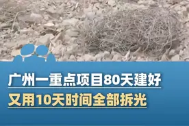 广州一重点项目80天建好7栋楼，又用10天时间全部拆光，半年时间一建一拆遭质疑（广东台今日关注、中国新闻周刊）#大象主播说