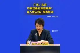 广东、北京均发现基孔肯雅病毒！会人传人吗？专家解读