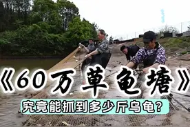 小飞哥六十万包下龟塘，究竟能否回本？#户外 #三农 #新农人计划2024视频封面