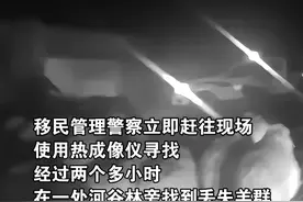 移民管理警察利用热成像仪寻回走失羊群视频封面