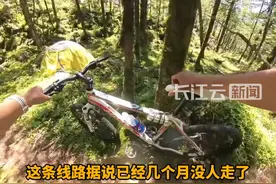 鳌太线发现尸体的博主或被罚款5000元，本人回应：认罚并道歉#猛蛇过江 #太白山 #环境保护视频封面