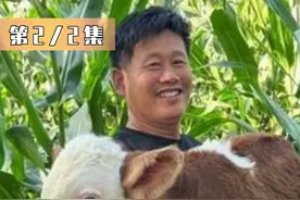 百万网红龙兽医凌晨出诊，出车祸当场进医院，儿子文案竟一语成谶视频封面