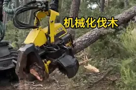 从伐木到葡萄采摘，现代农林业的机械化程度已经很高了。
#大型机械  #农业  #伐木 #解压 #知识前沿派对视频封面