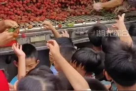 湖南一学校买2万多斤荔枝请师生品尝，每名学生分到1斤半视频封面